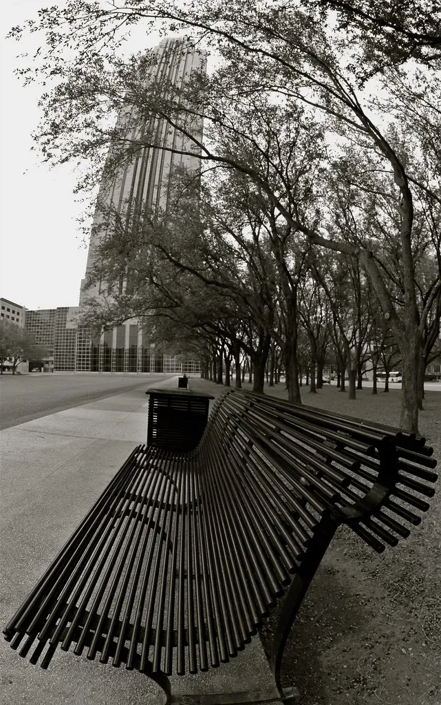 Park bench beneath mature trees