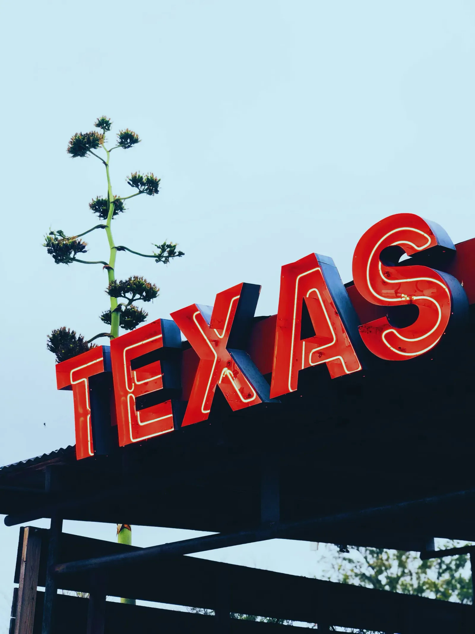 Texas sign beneath a blue sky